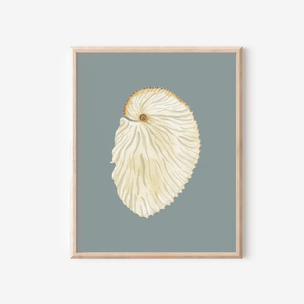 Argonaut Art Print Colorful 5x7