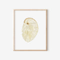 Argonaut Art Print 8x10