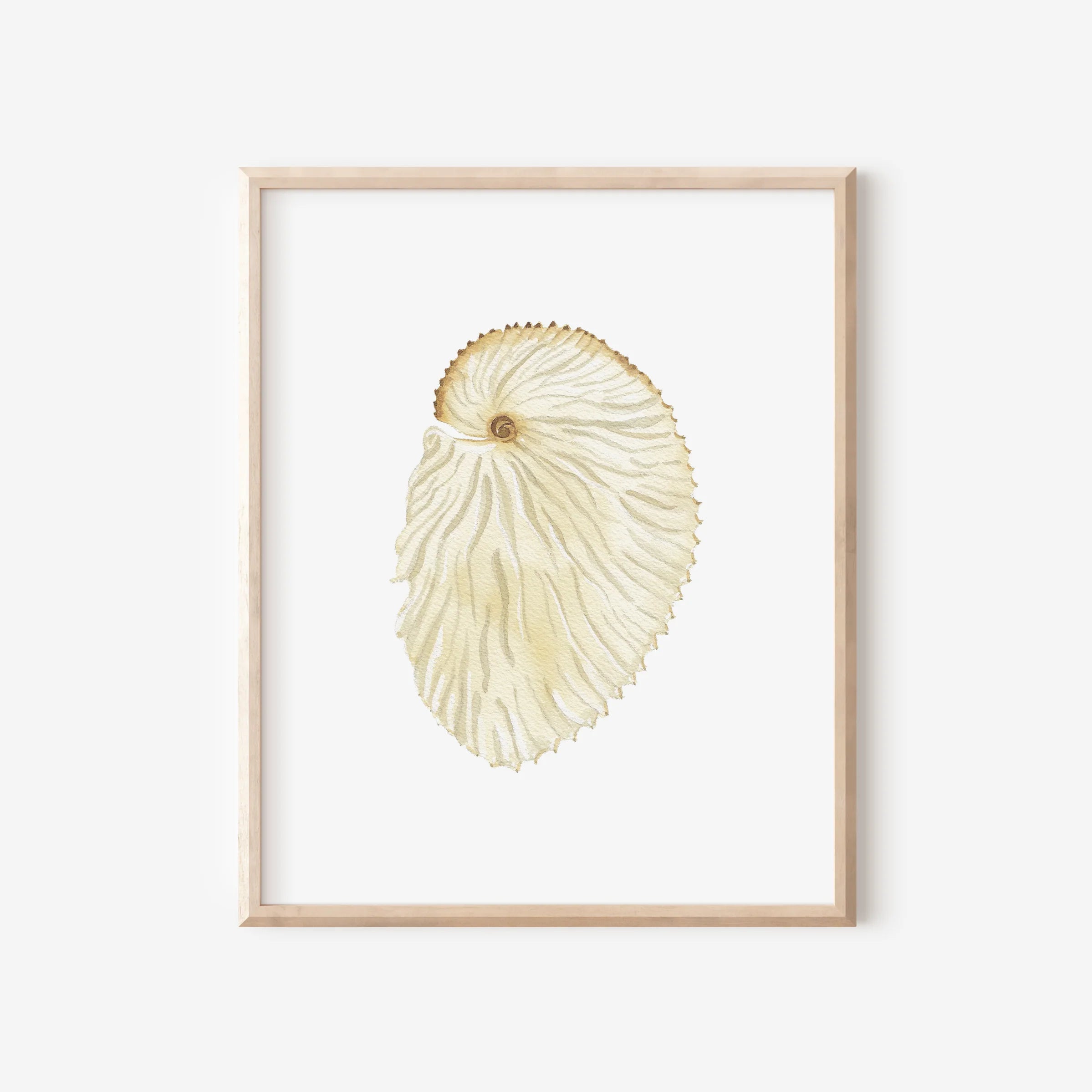 Argonaut Art Print 8x10