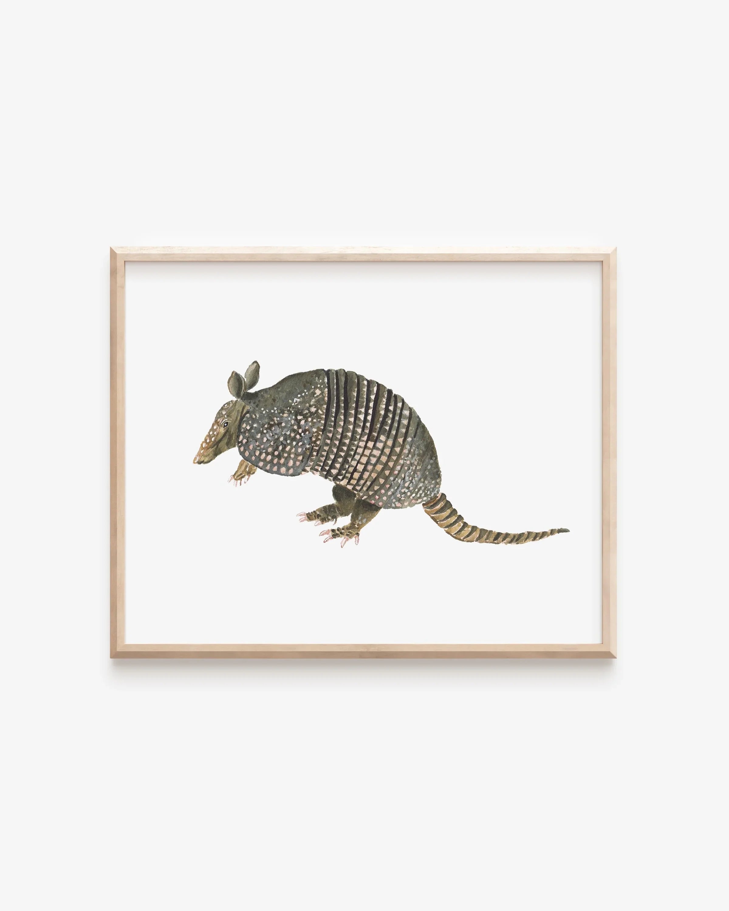 Armadillo Art Print 8x10