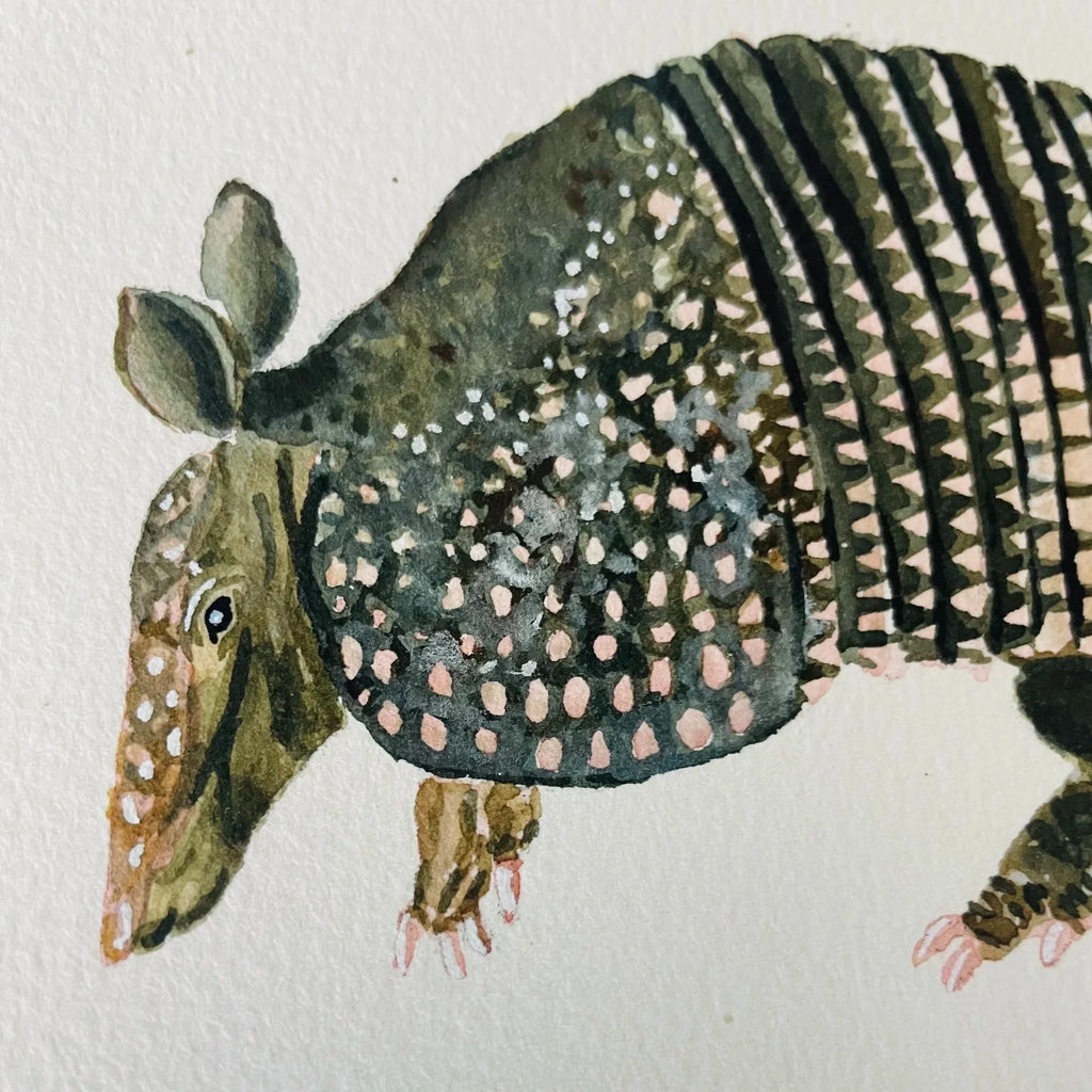 Armadillo Art Print 8x10