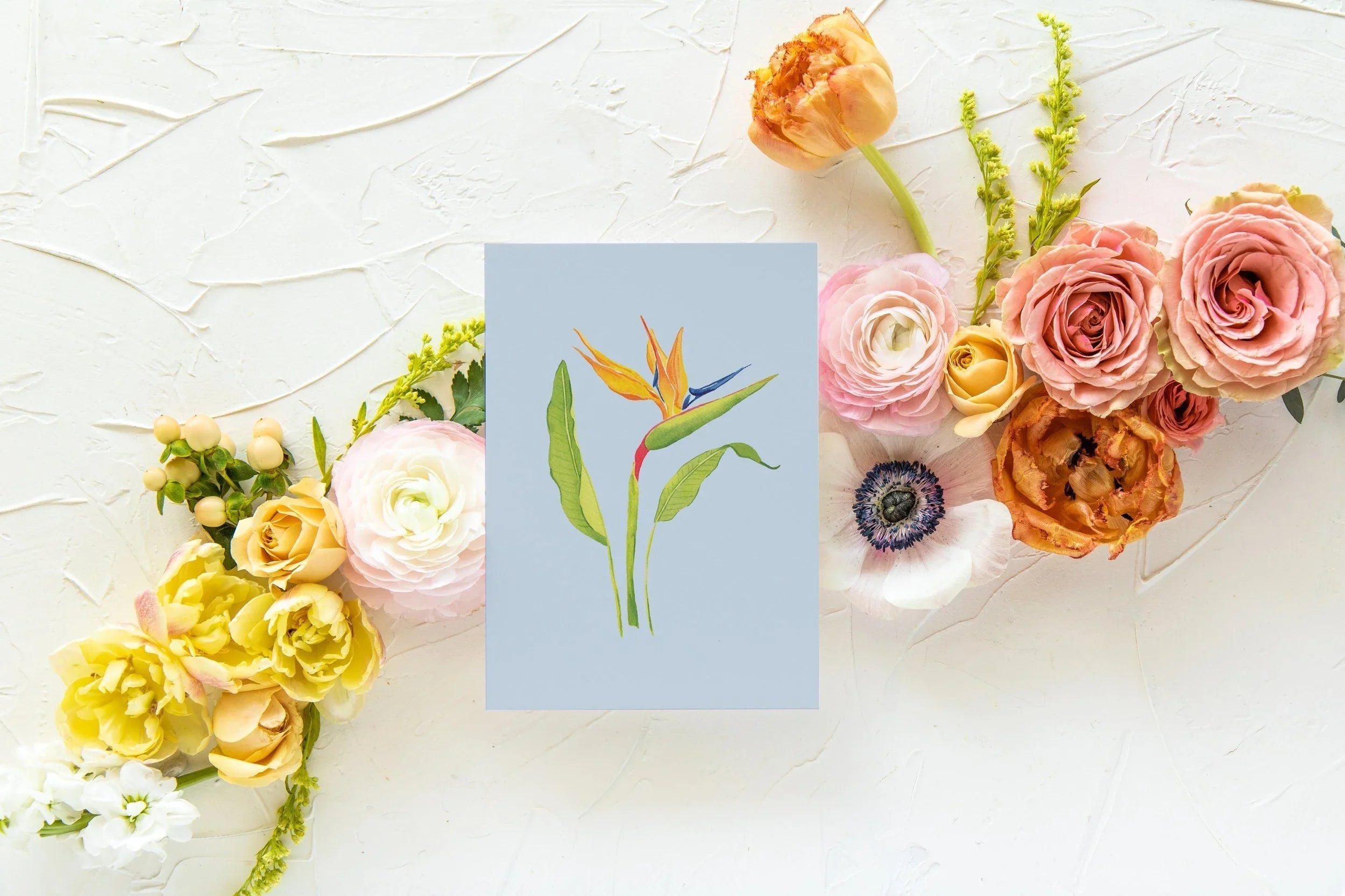 Blue Botanical 5x7 Prints - Bird of Paradise