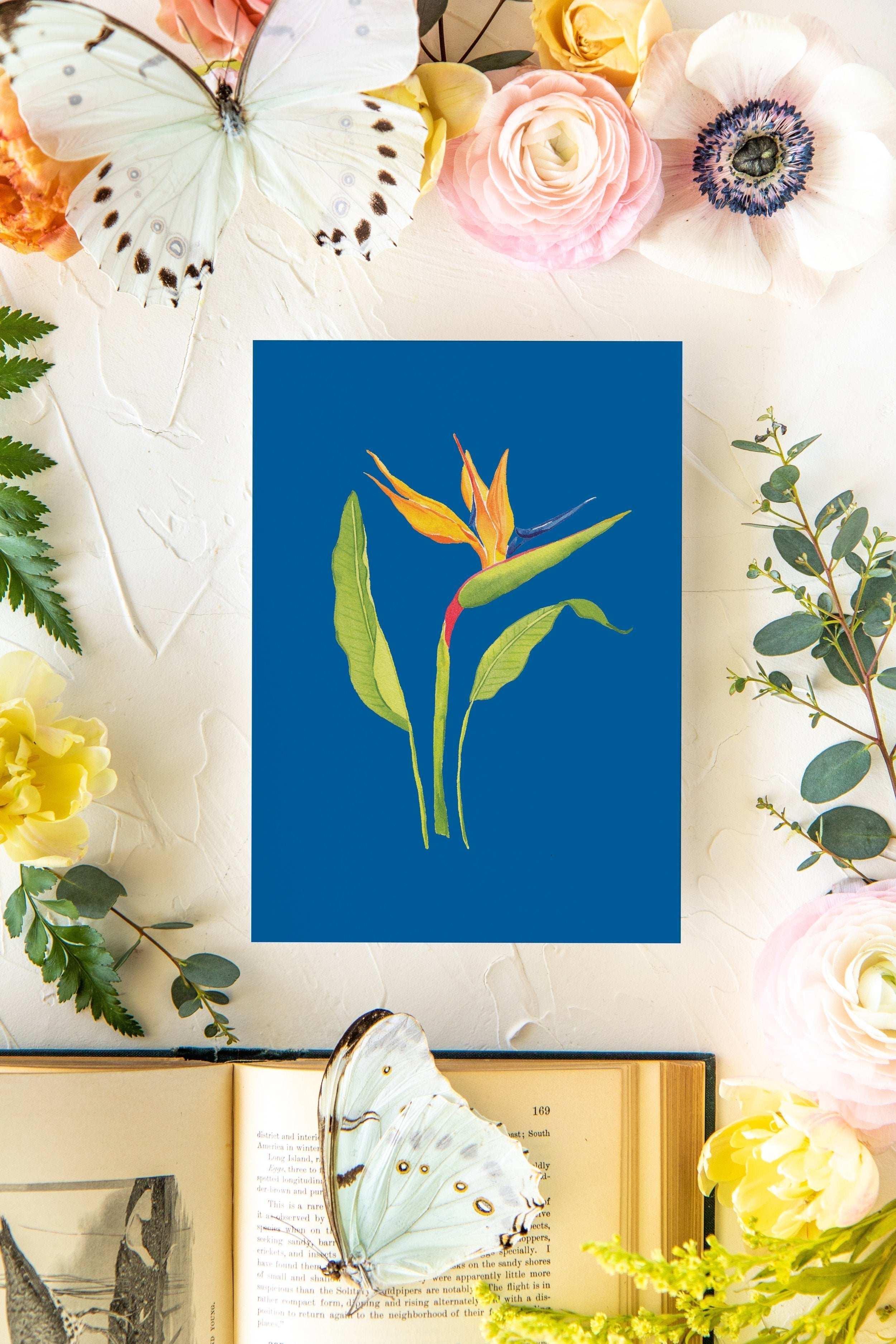 Colorful Botanical 5x7 Print - Bird of Paradise