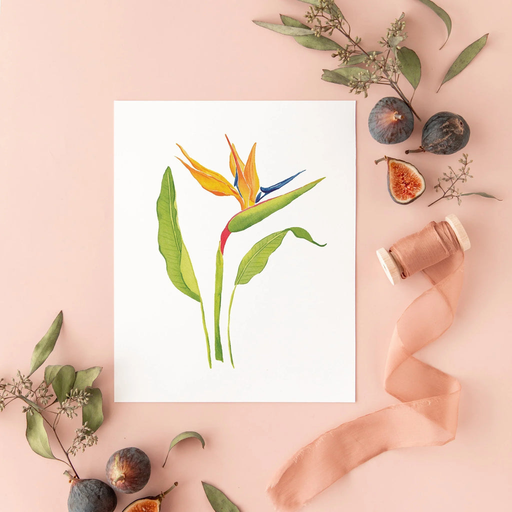 Botanical Art Prints 8x10 - Bird of Paradise
