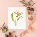 Botanical Art Prints 8x10 - Bird of Paradise