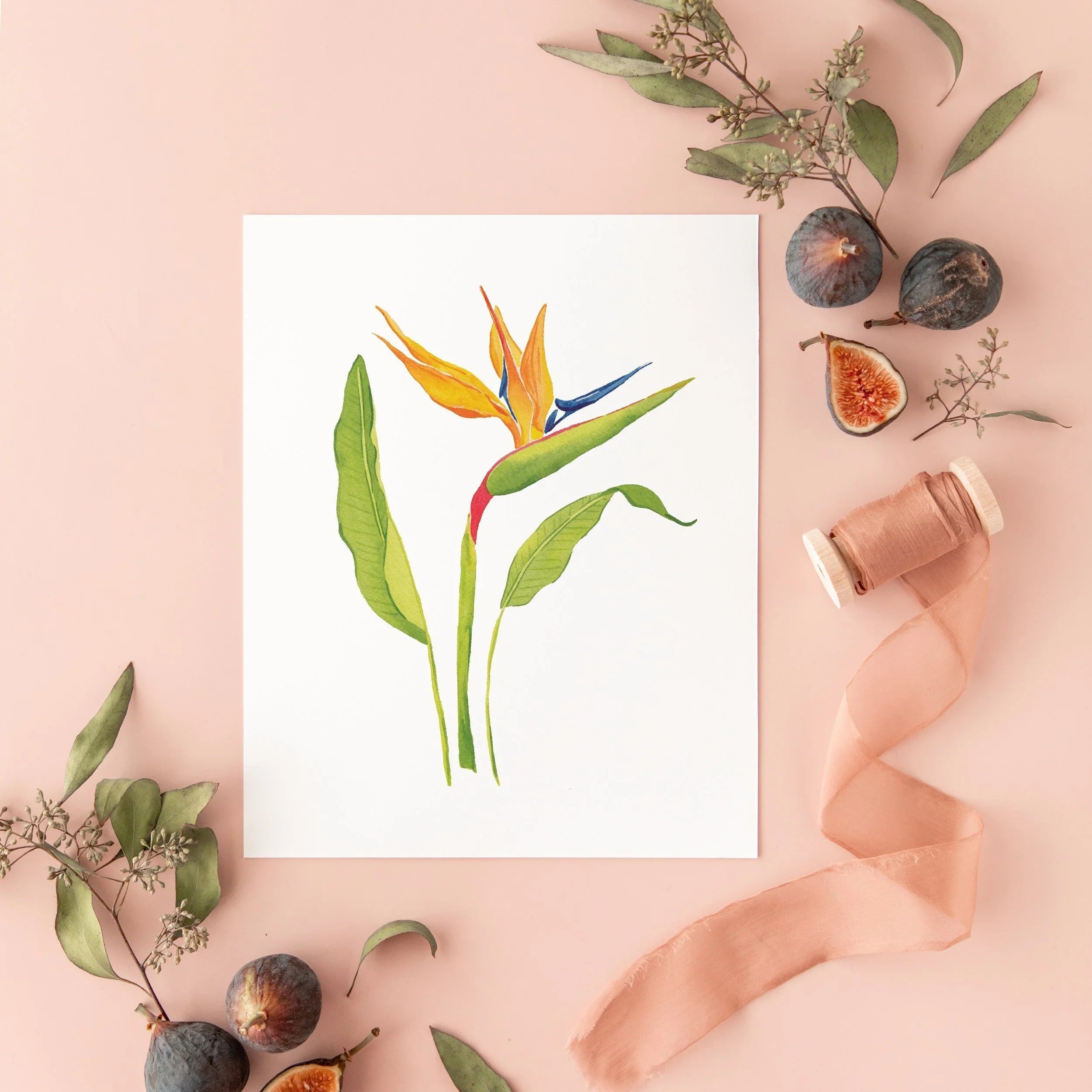 Botanical Art Prints 8x10 - Bird of Paradise