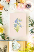 Colorful Botanical 5x7 Print - Blue Eyed Grass