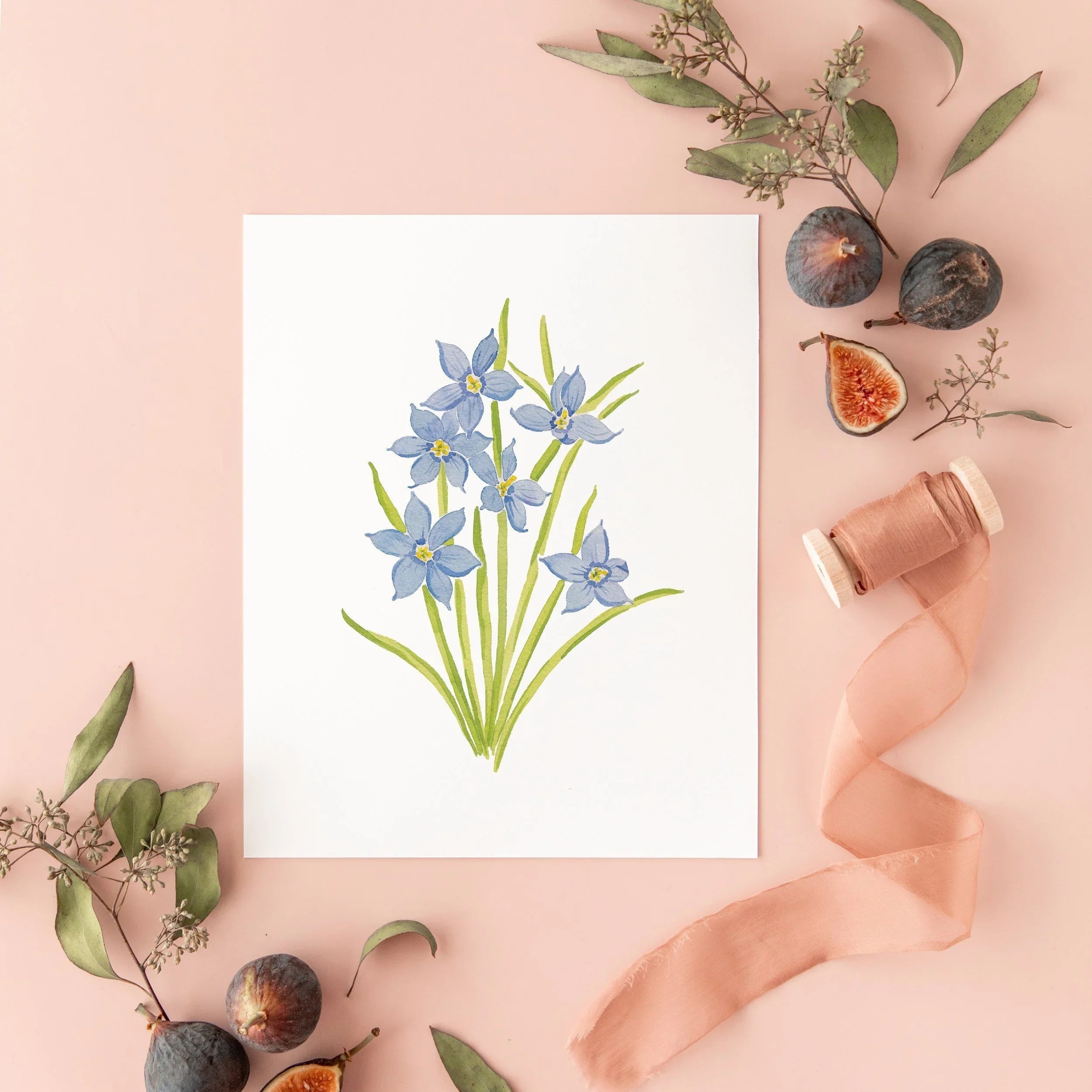 Botanical Art Prints 8x10 - Blue Eyed Grass