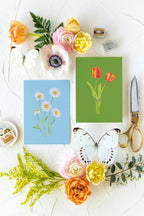Colorful Botanical 5x7 Print - Daisy