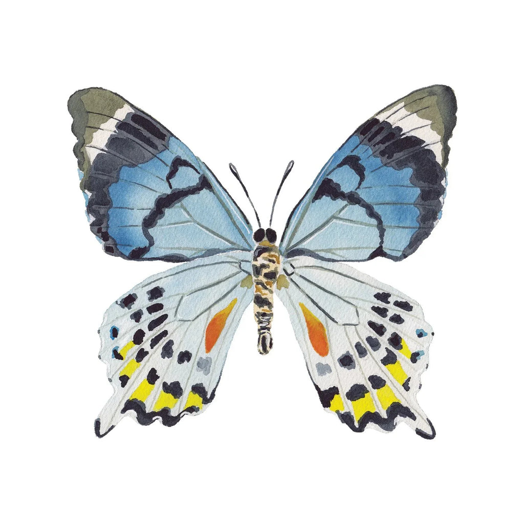 Blue Multi Butterfly Acrylic Art Block Large