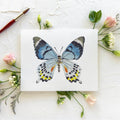 Butterfly No. 40 Print 8x10