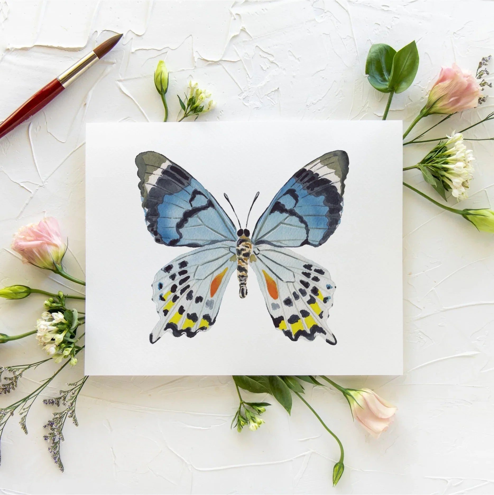 Butterfly No. 40 Print 8x10