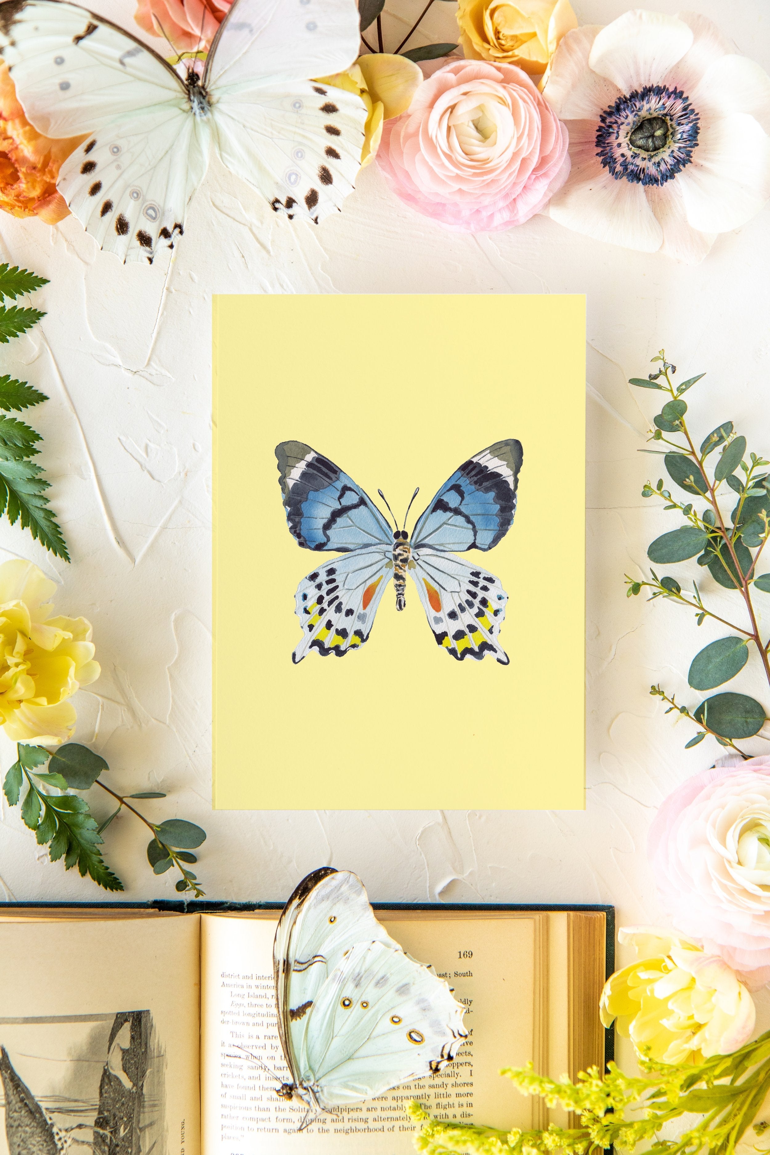 April 3 Butterfly Print 5x7