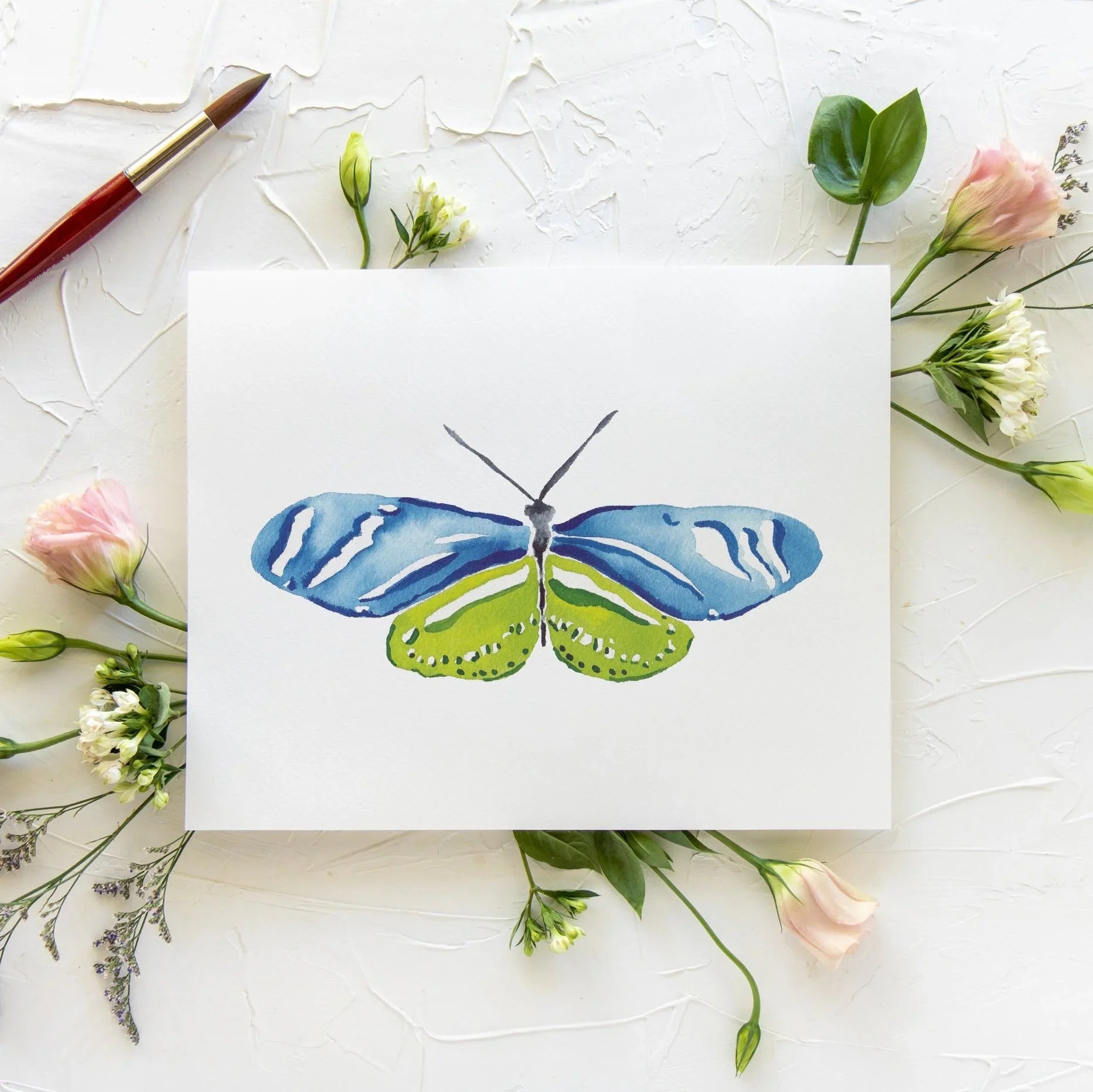 Butterfly No. 41 Print 8x10