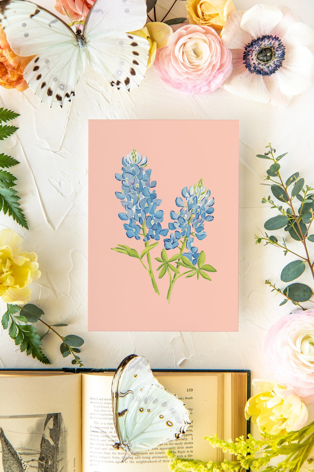 Colorful Botanical 5x7 Print - Bluebonnet