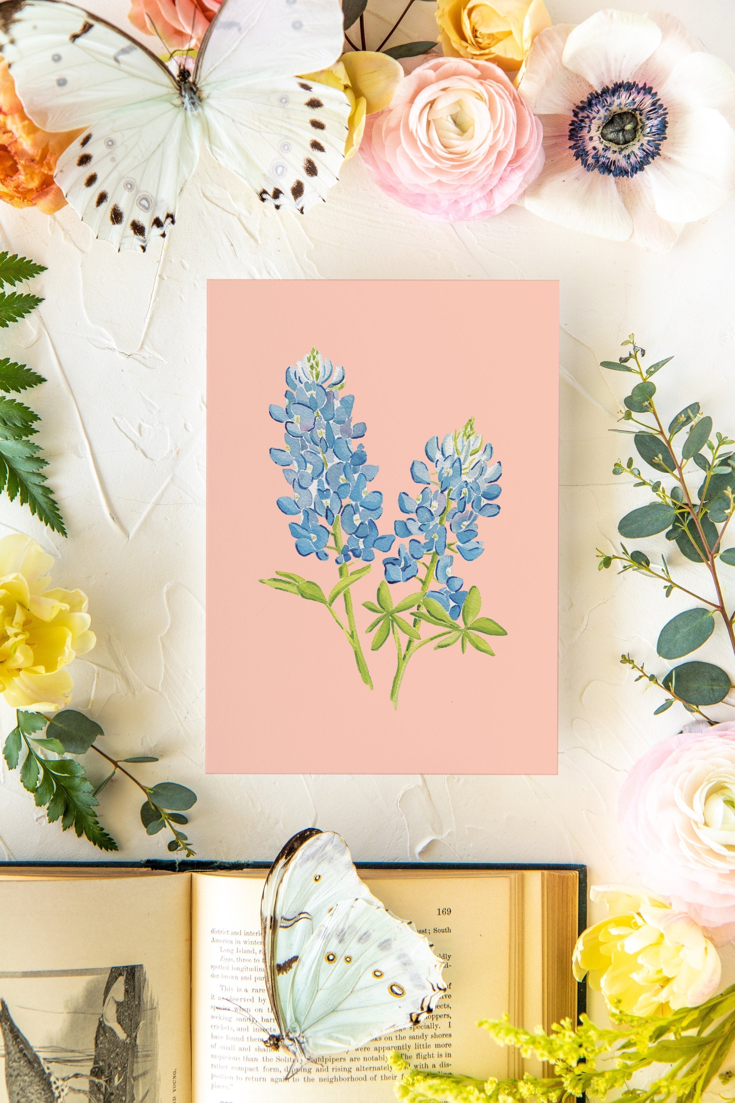 Colorful Botanical 5x7 Print - Bluebonnet
