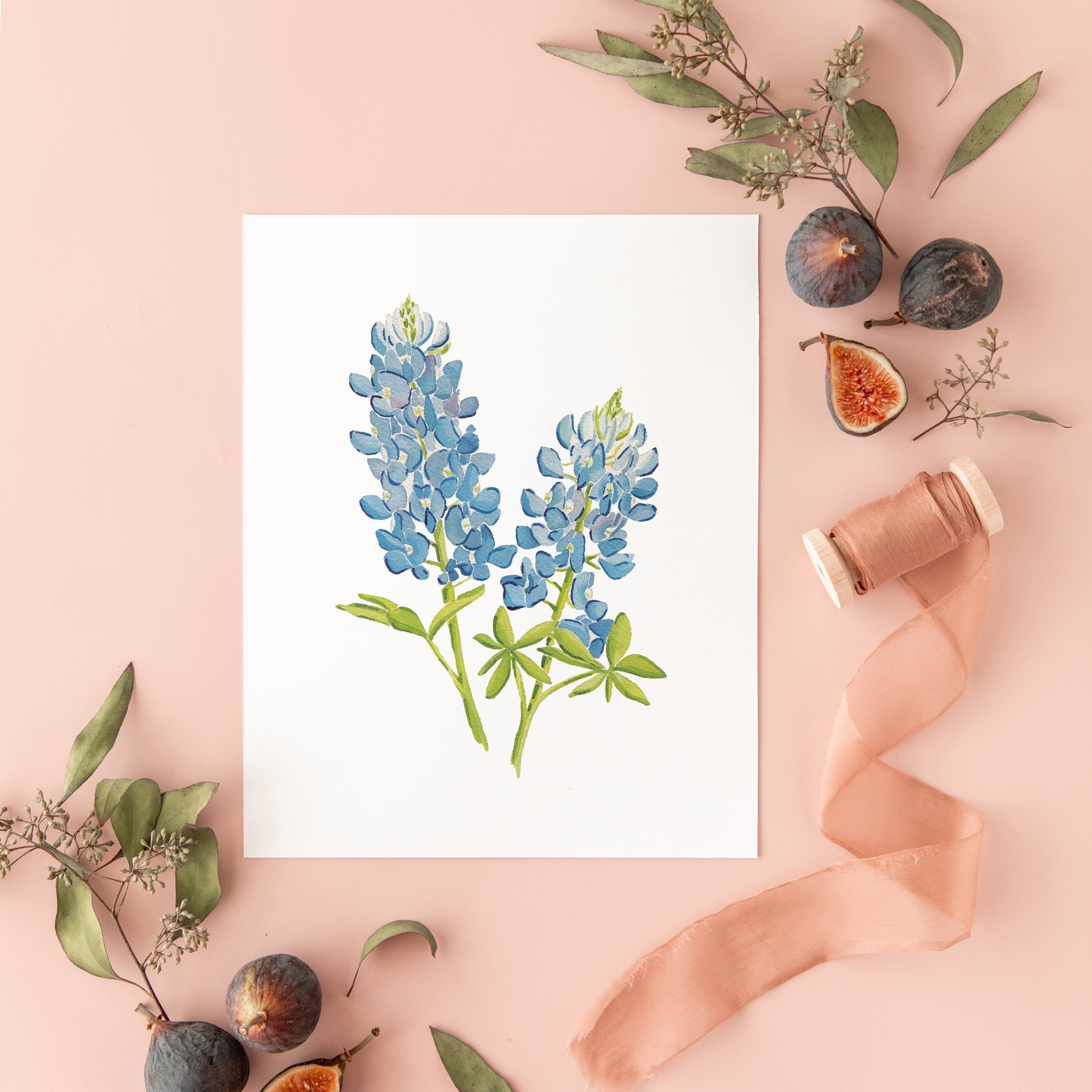 Botanical Art Prints 8x10 - Bluebonnet