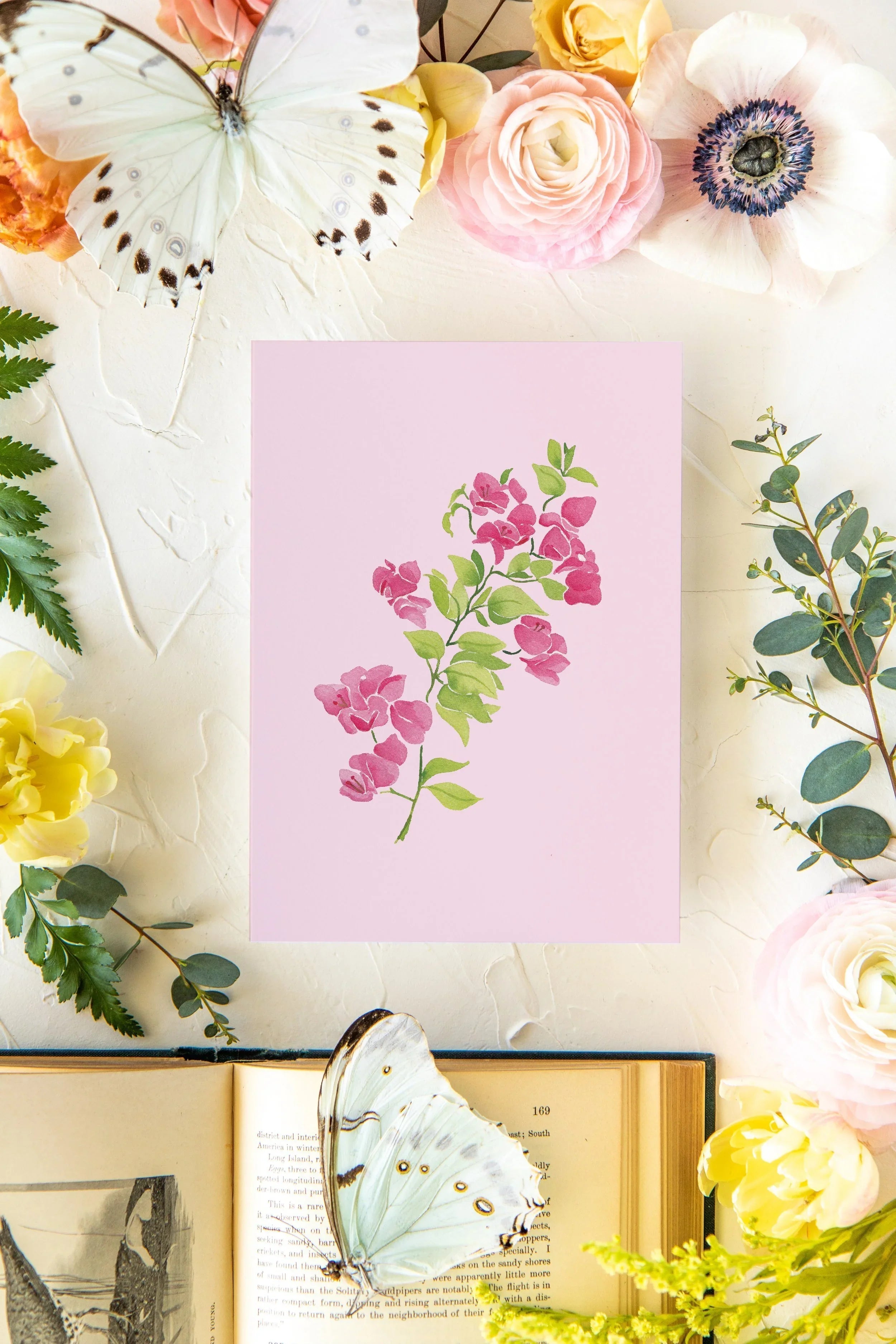 Colorful Botanical 5x7 Print - Bougainvillea