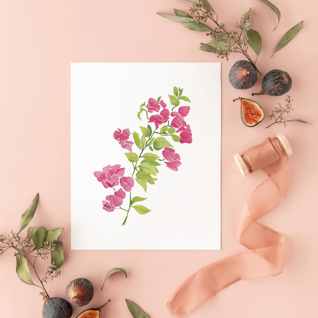 Botanical Art Prints 8x10 - Bougainvillea