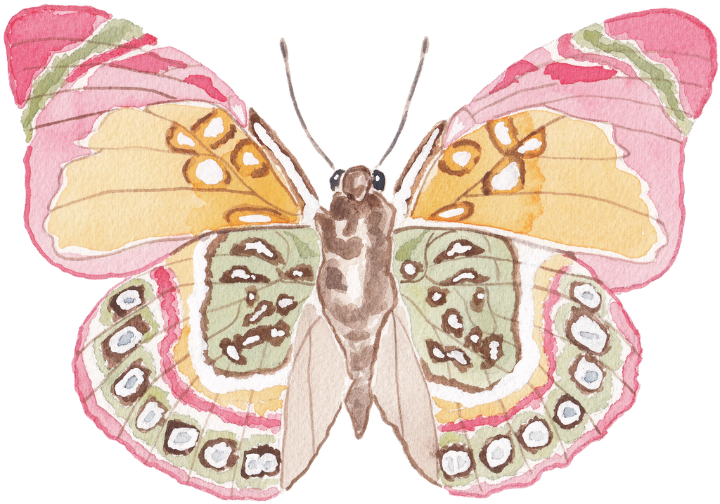 Pink and Green Butterfly Acrylic Art Block Small