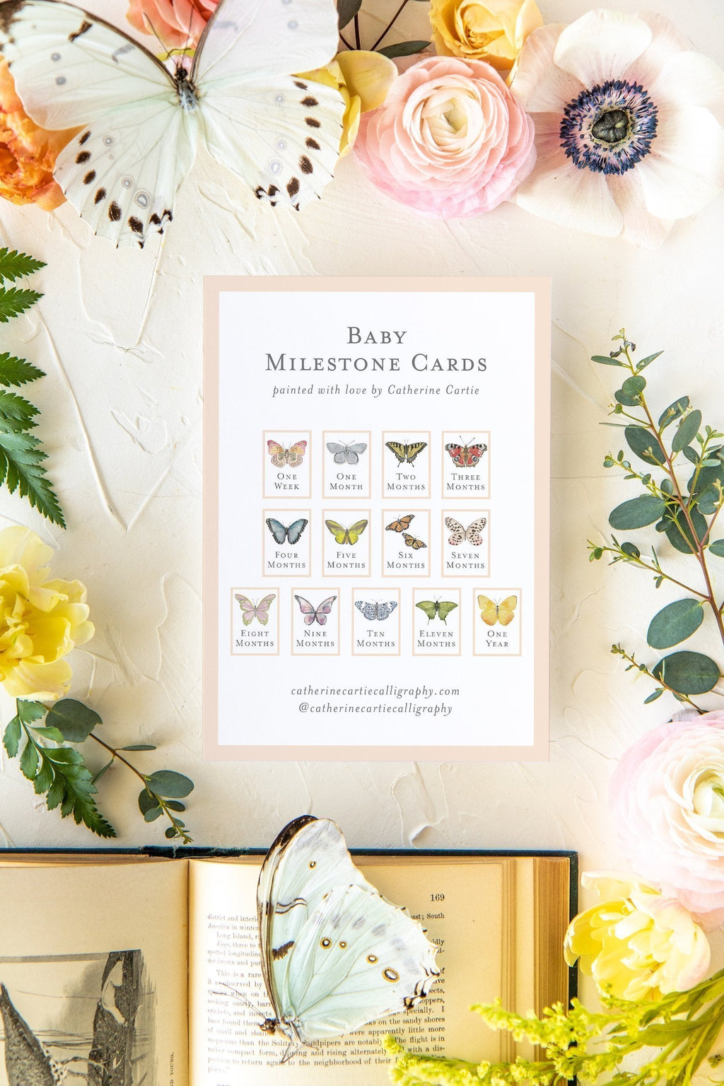 Baby Milestone Cards - Butterflies