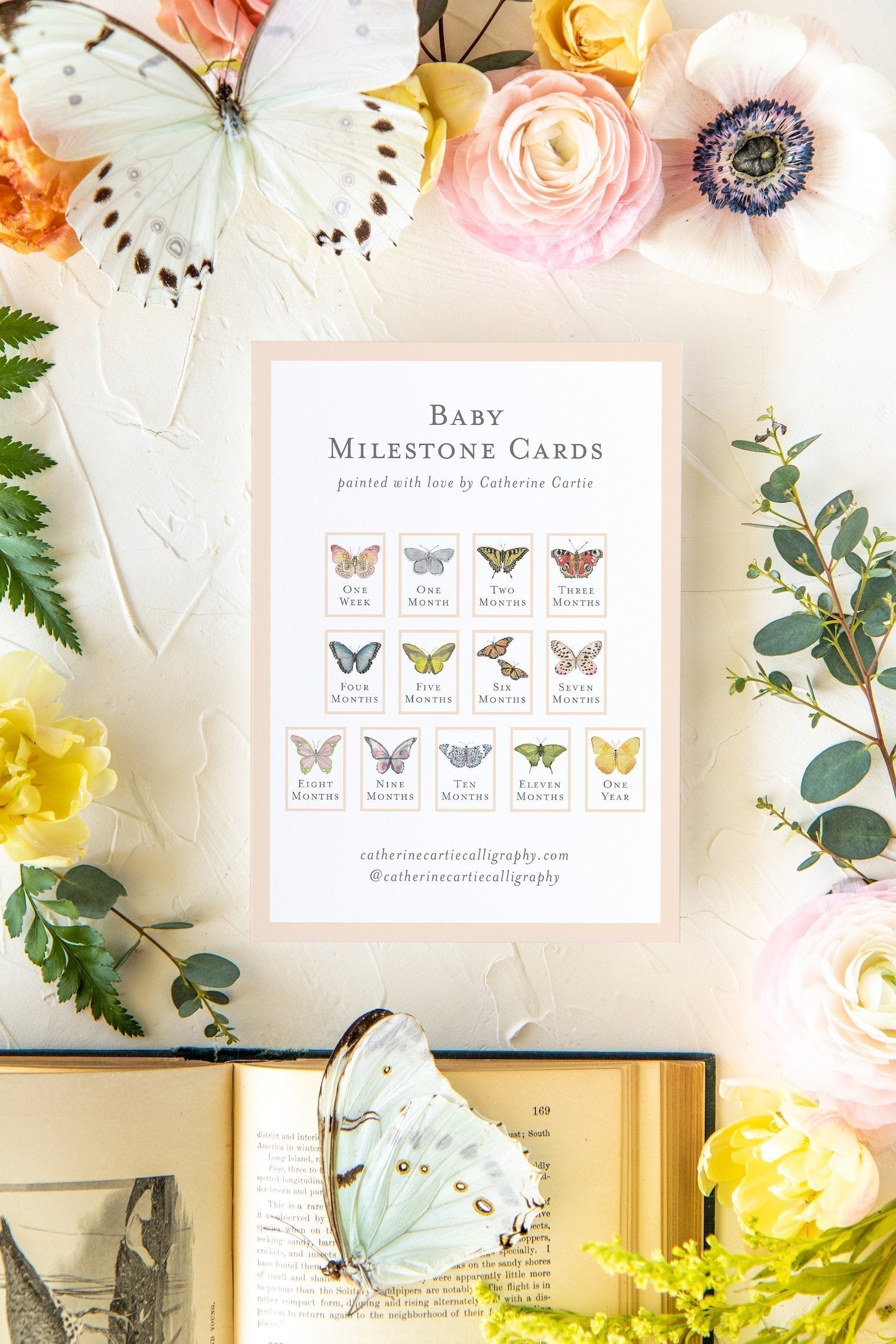 Baby Milestone Cards - Butterflies