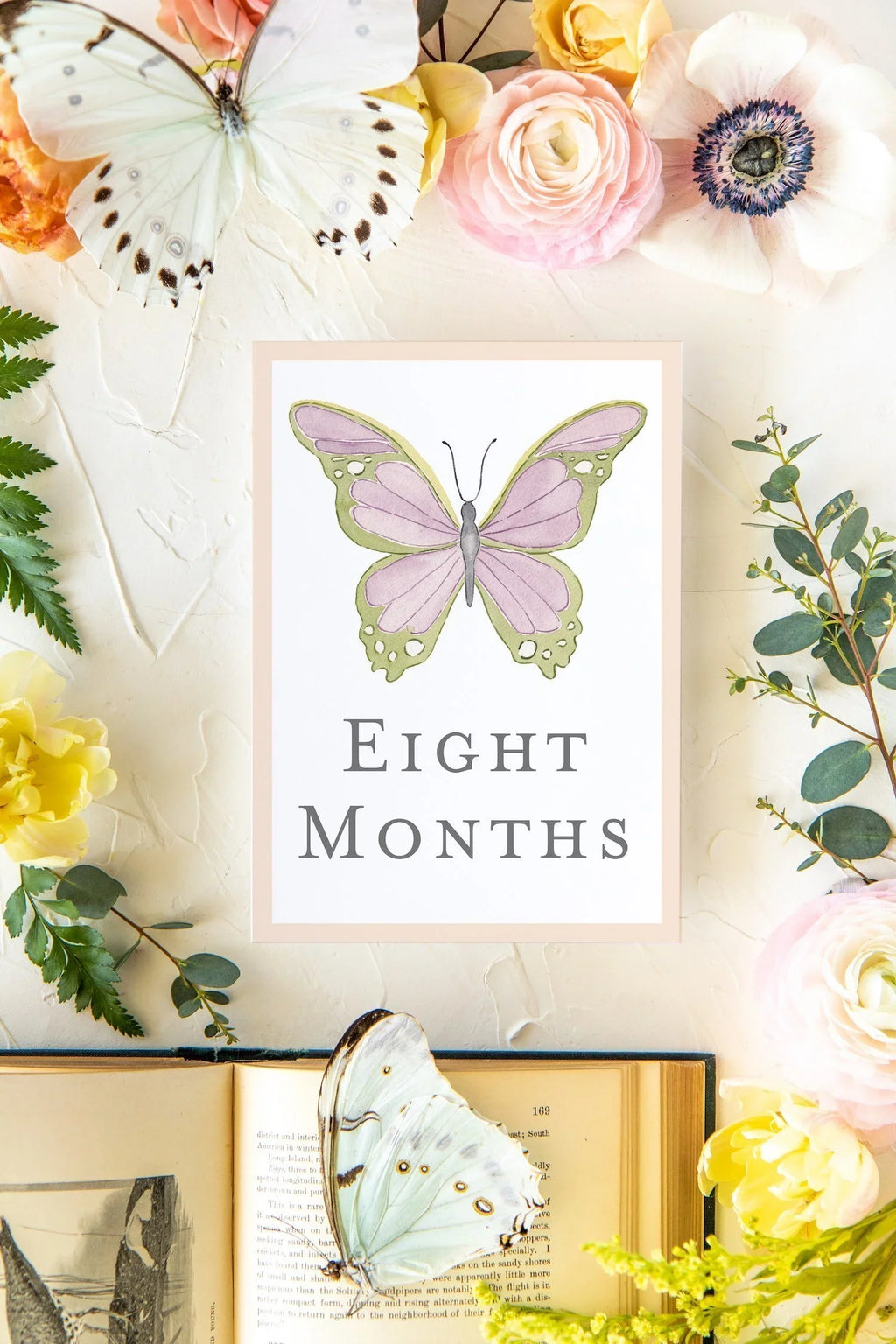 Baby Milestone Cards - Butterflies