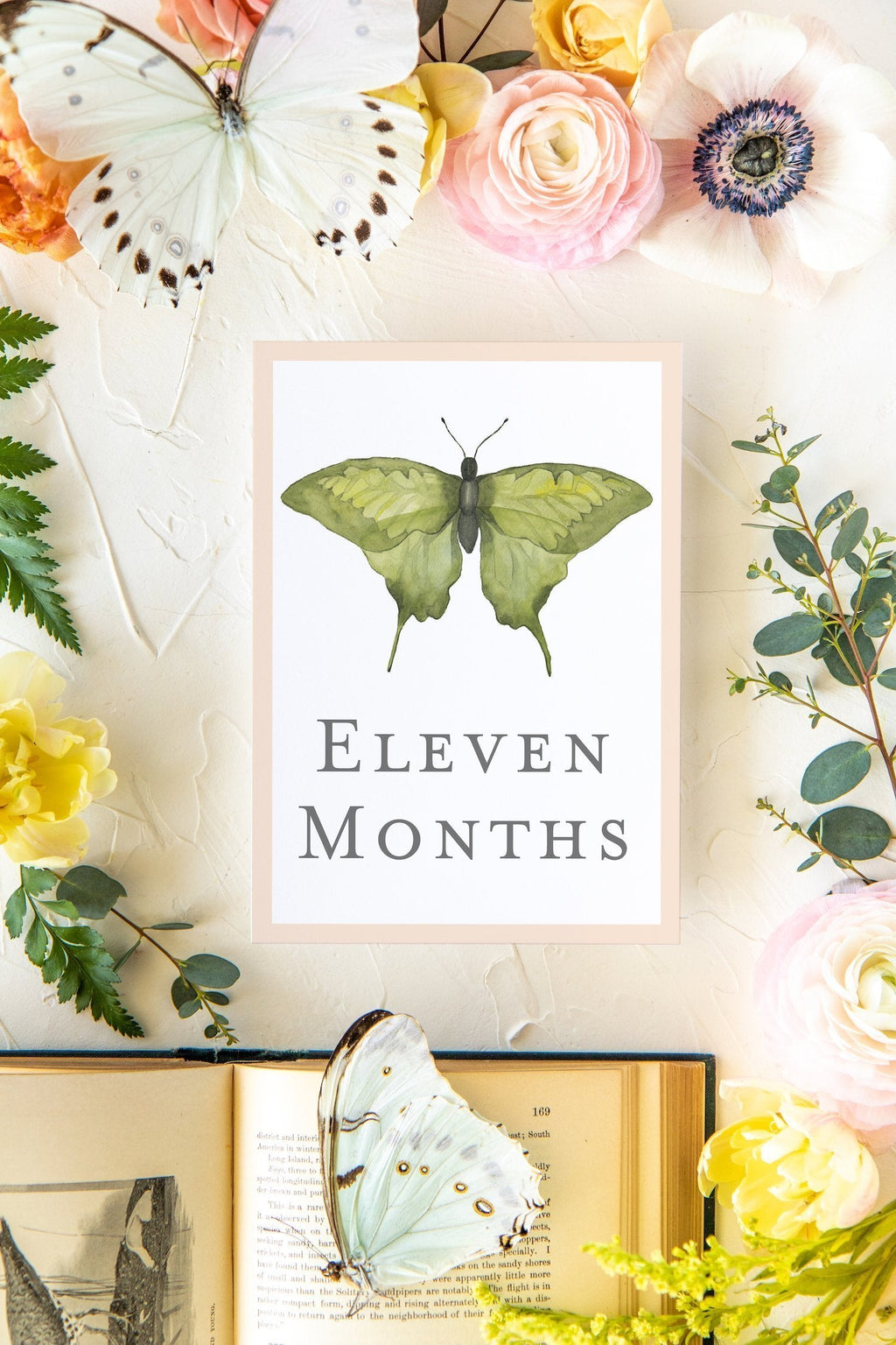 Baby Milestone Cards - Butterflies