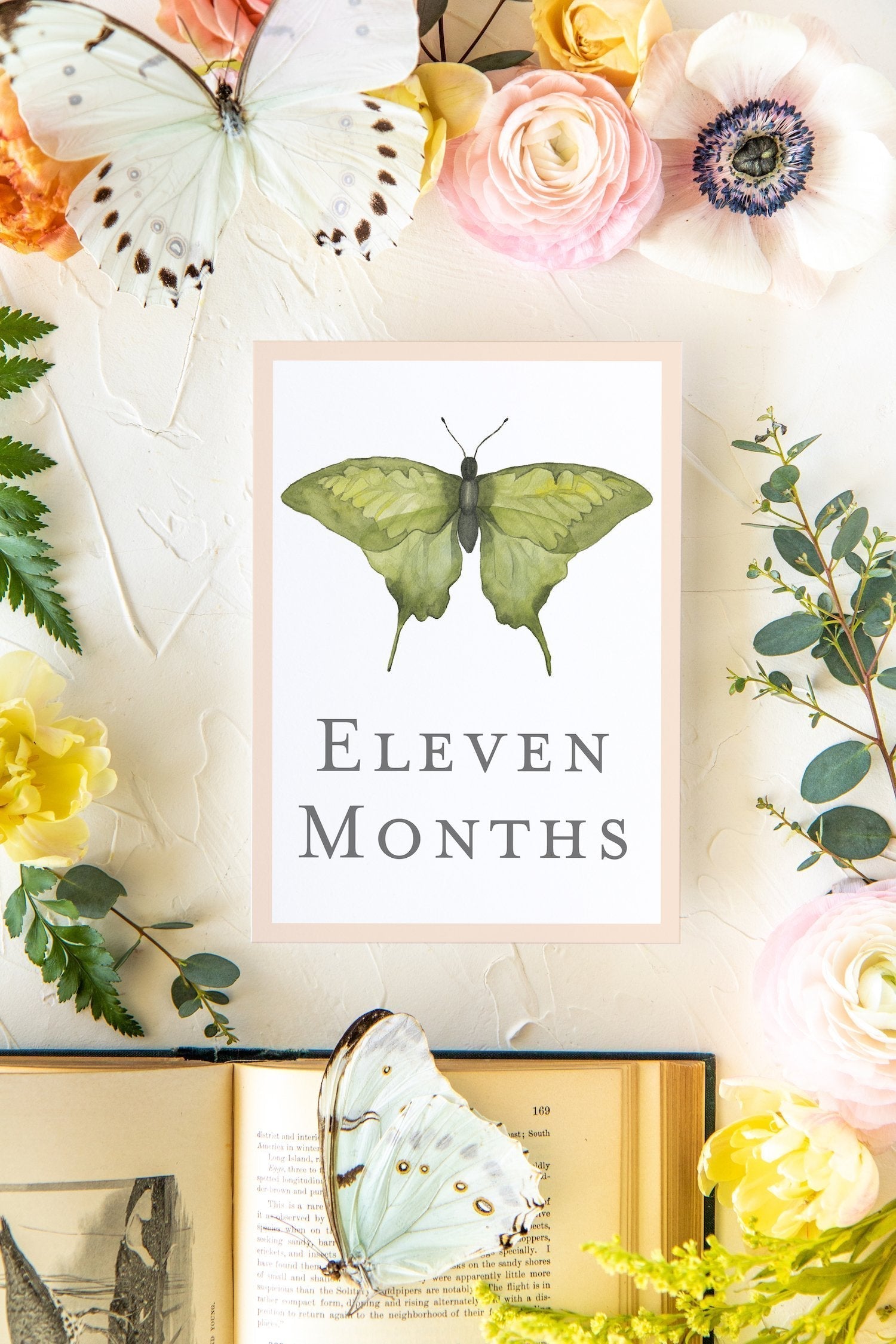 Baby Milestone Cards - Butterflies