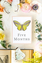 Baby Milestone Cards - Butterflies