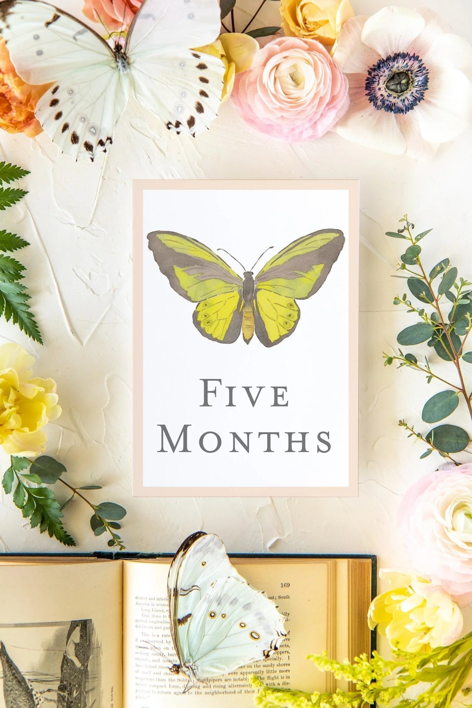 Baby Milestone Cards - Butterflies