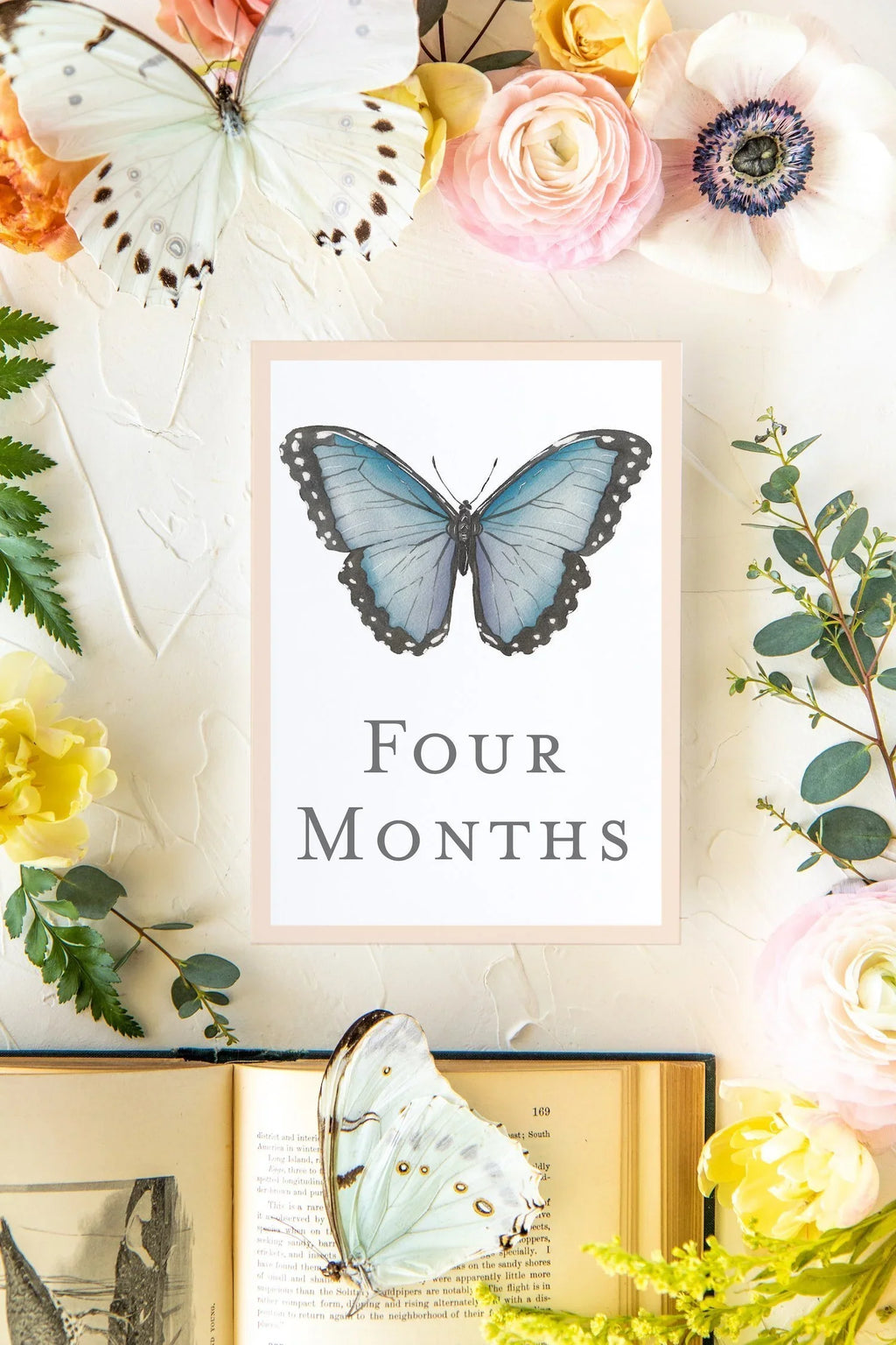 Baby Milestone Cards - Butterflies