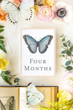 Baby Milestone Cards - Butterflies