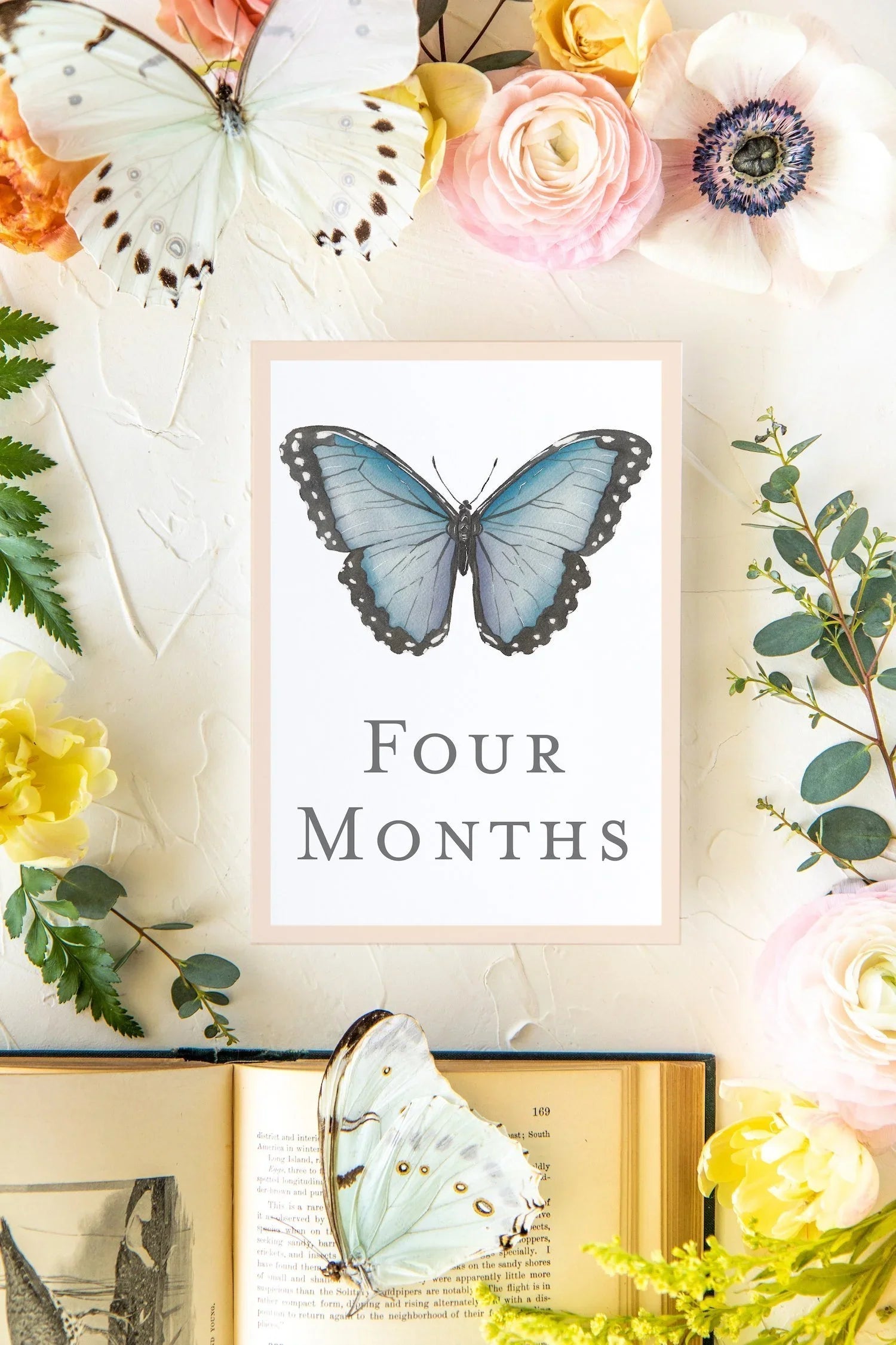 Baby Milestone Cards - Butterflies