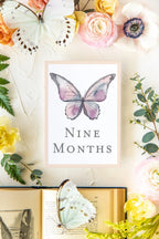 Baby Milestone Cards - Butterflies
