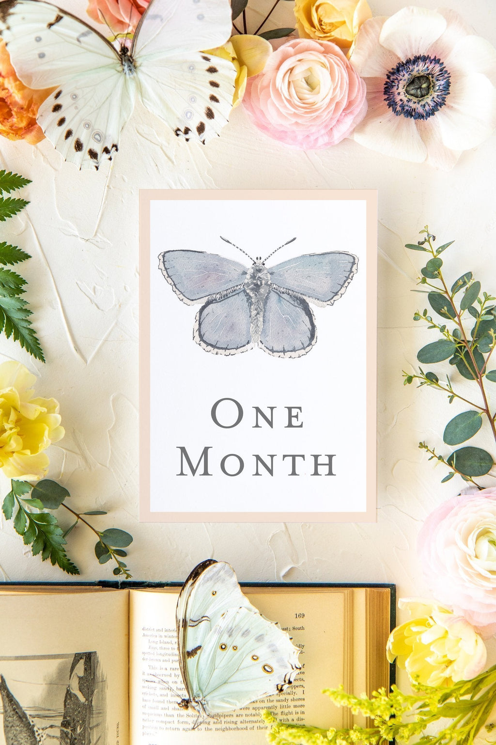 Baby Milestone Cards - Butterflies