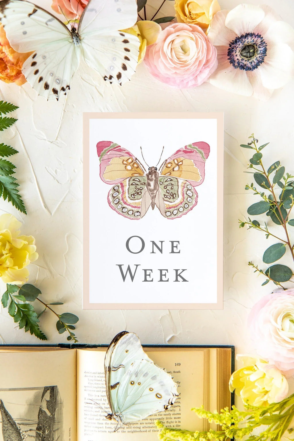 Baby Milestone Cards - Butterflies