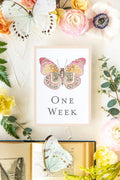 Baby Milestone Cards - Butterflies