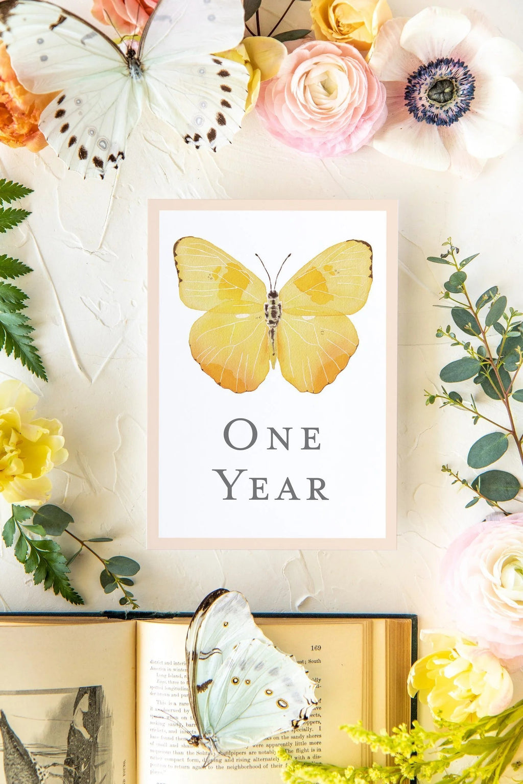 Baby Milestone Cards - Butterflies