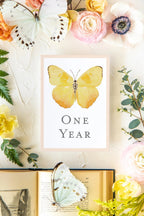 Baby Milestone Cards - Butterflies
