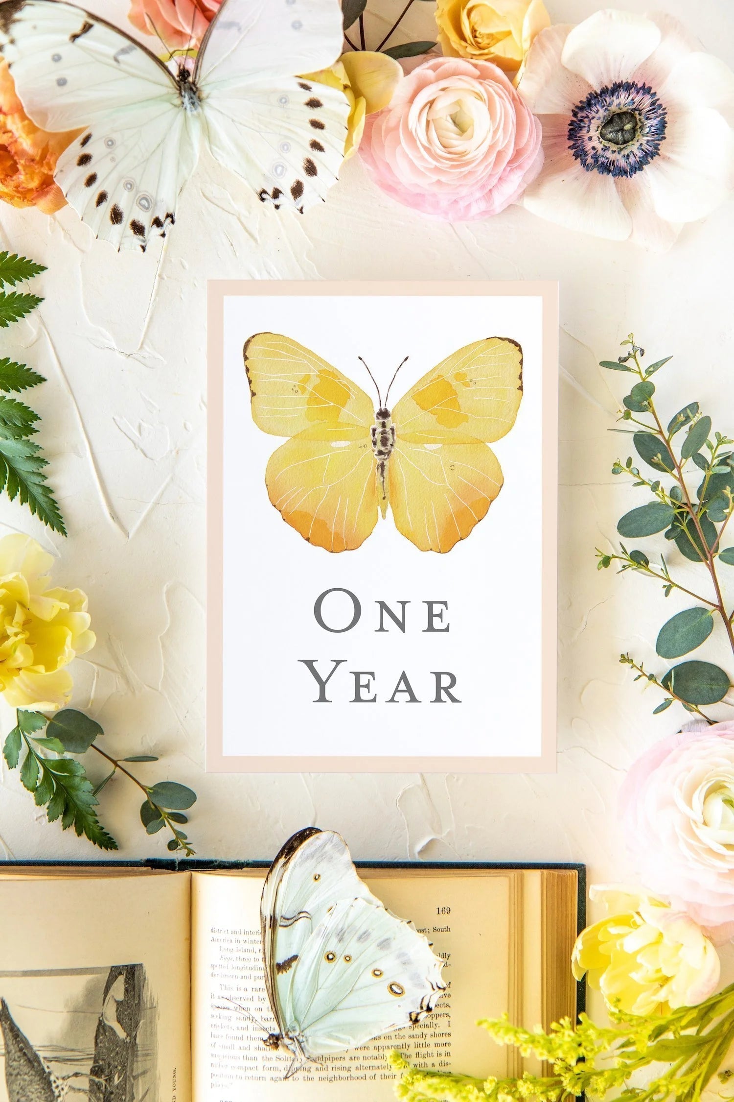 Baby Milestone Cards - Butterflies