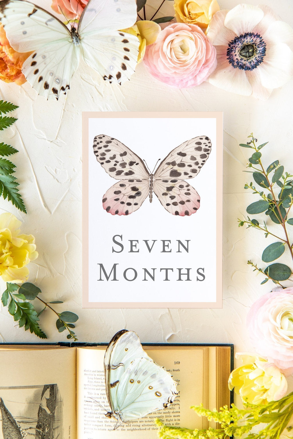 Baby Milestone Cards - Butterflies