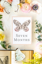 Baby Milestone Cards - Butterflies