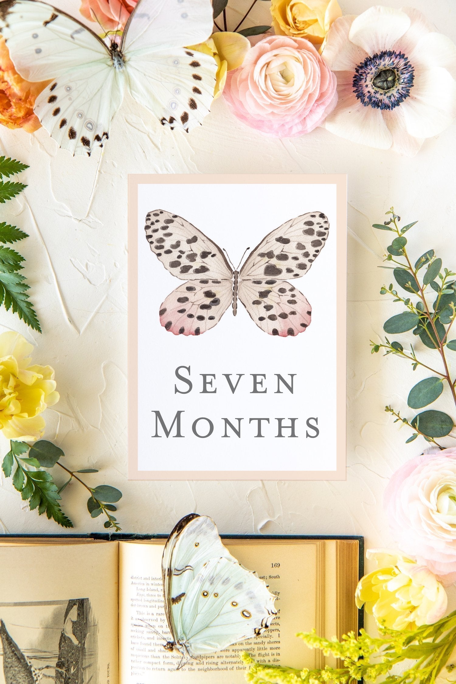 Baby Milestone Cards - Butterflies