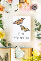 Baby Milestone Cards - Butterflies