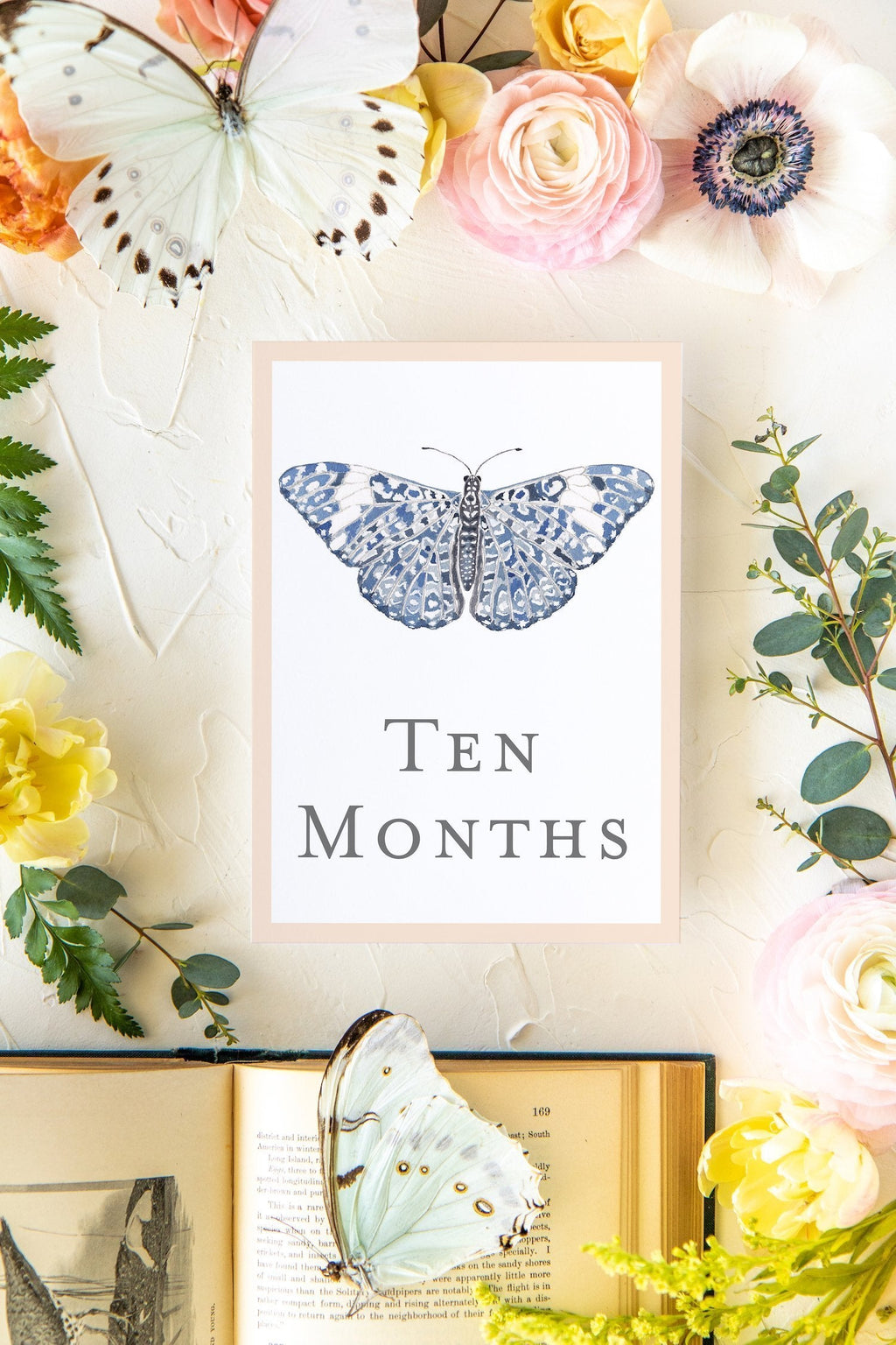 Baby Milestone Cards - Butterflies