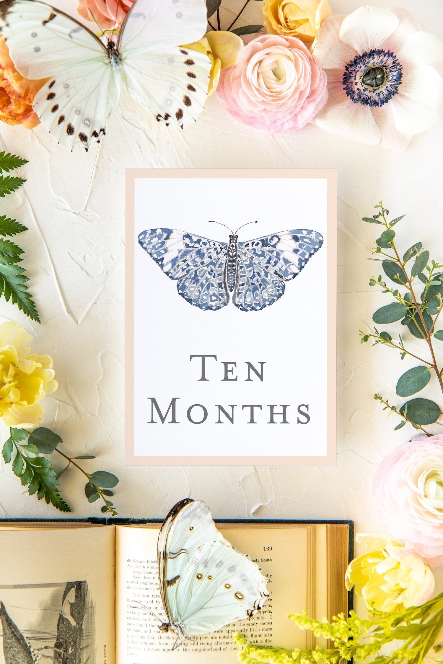 Baby Milestone Cards - Butterflies