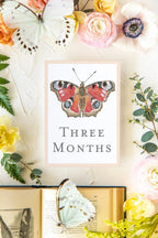 Baby Milestone Cards - Butterflies