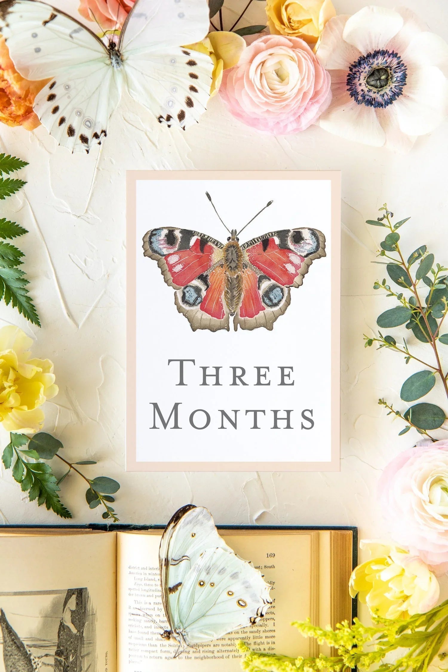 Baby Milestone Cards - Butterflies