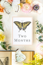 Baby Milestone Cards - Butterflies